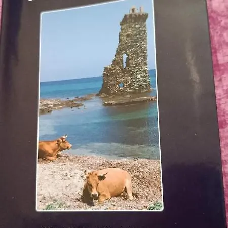 Maison De Village / Macinaggio Cap Corse Rogliano